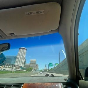 Meet your Posher, Maddox